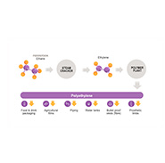 Ethane as a feedstock for Ethylene/Polyethylene